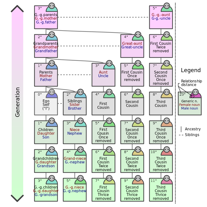 European Kinship System - English